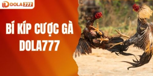 Bí kíp cược gà DOLA777