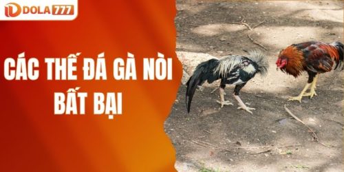 Các thế đá gà nòi bất bại