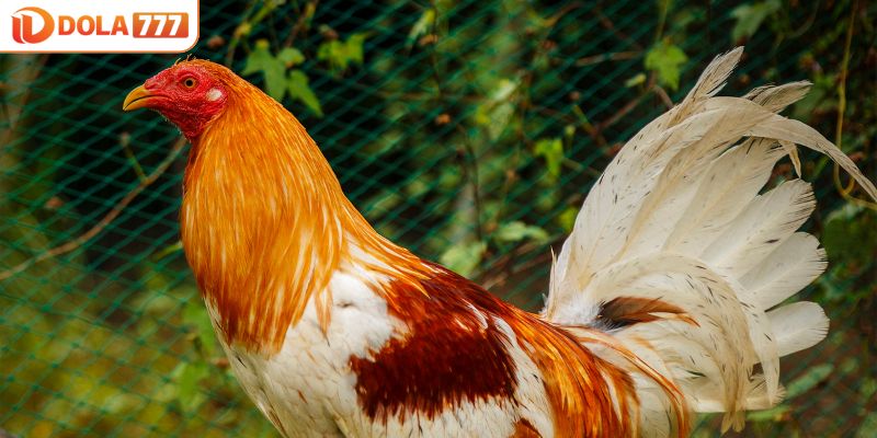 Cung cấp đủ lượng nước sạch